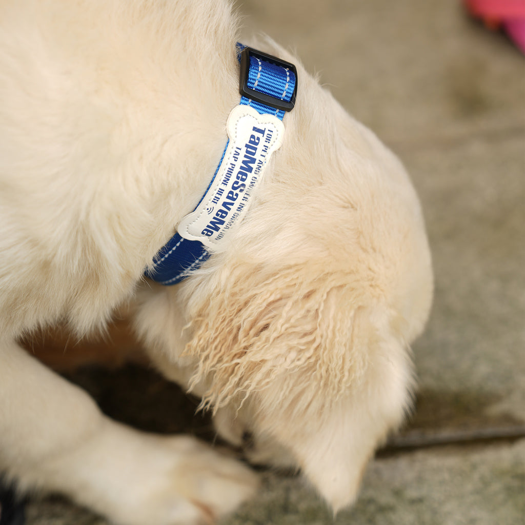TapMeSaveMe™ NFC Dog Collar
