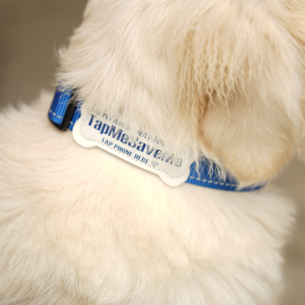 TapMeSaveMe™ NFC Dog Collar